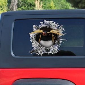 Rockhopper Penguin  window sticker, car sticker, Penguin  car decal