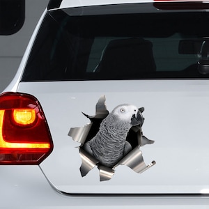 Adesivo auto grigio africano, decalcomania grigio africano, magnete grigio africano