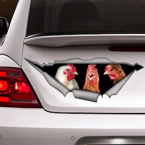 chickens sticker, chickens magnet,   Chicken car decal, funny sticker