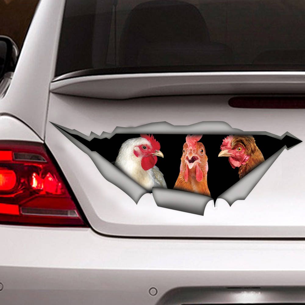 chickens sticker, chickens magnet,   Chicken car decal, funny sticker