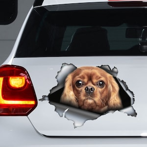 Ruby Cavalier King sticker, Cavalier King magneet, Ruby Cavalier King auto sticker, auto stickers