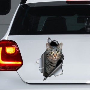 Tabby Cat decal, Tabby Cat magneet, Tabby Cat sticker, Tabby Cat auto sticker