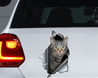 Tabby Cat decal, Tabby Cat magneet, Tabby Cat sticker, Tabby Cat auto sticker