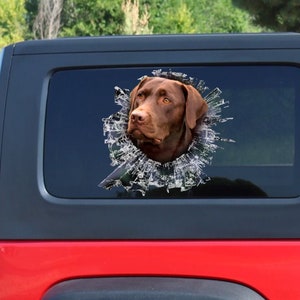Puede incluir: La cabeza de un perro Labrador Retriever marrón asoma a través de una ventana rota, como si rompiera el vidrio. El perro tiene una expresión seria y mira hacia la izquierda.