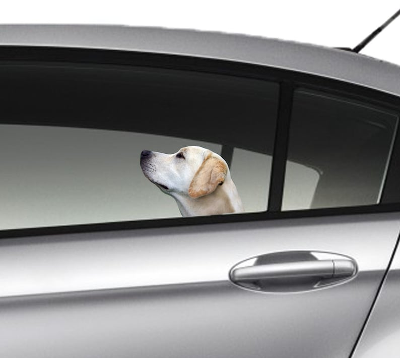 Yellow Lab Car Window Sticker 3D Sticker Funny Sticker Etsy