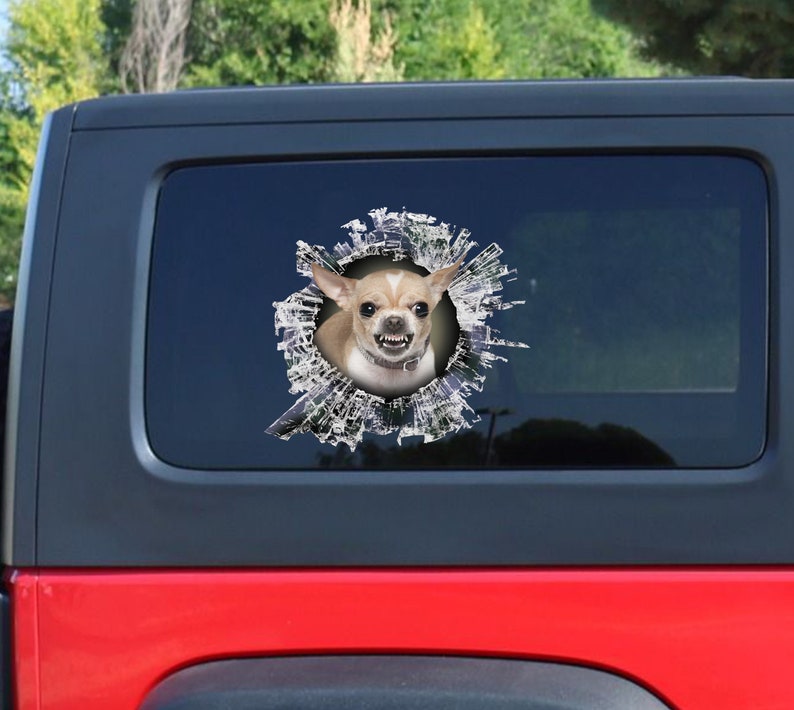 Op de afbeelding: Een chihuahua met een woeste uitdrukking kijkt door een gebarsten raam op een rode auto. De vacht van de hond is lichtbruin en wit, en zijn ogen zijn donker. Het raam is gebarsten en gebroken, met zichtbare glasscherven.