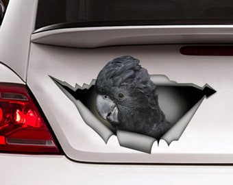 Black Cockatoo car  decal, Black Cockatoo magnet,  parrot decal, Black  Cockatoo sticker