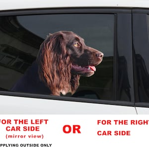 May include: A brown and black dog looking out of a car window. The text "FOR THE LEFT CAR SIDE (mirror view) APPLYING OUTSIDE ONLY" is on the bottom left of the image. The text "OR" is in the middle of the image. The text "FOR THE RIGHT CAR SIDE" is on the bottom right of the image.