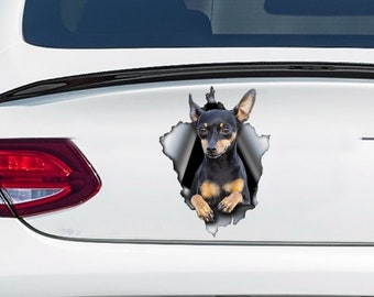 Pinscher car decal ,  Pinscher  magnet, dog car decal, pinscher   sticker