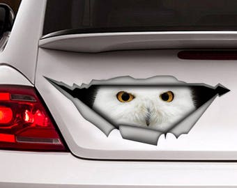 Etiqueta engomada del búho blanco, calcomanía del coche del búho, decoración del coche, calcomanía del búho, calcomanía del pájaro