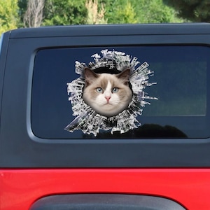 Ragdoll cat window sticker, Ragdoll cat window decal, cat window sticker