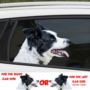 Border collie window sticker , 3D sticker,  Border collie car decal