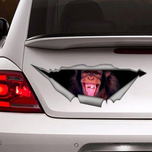 Monkey car Decal, Monkey magnet, funny car decal