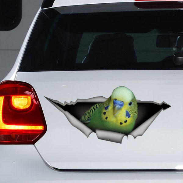 Green Budgie car decal, Green Budgie sticker, budgie decal, Budgie magnet