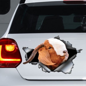 Boer Goat car decal, Boer Goat magnet, Boer Goat sticker, farm decal
