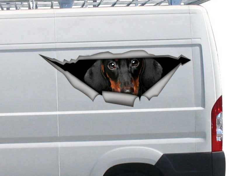 May include: A black and tan dachshund dog peering out of a ripped hole in a white van. The dog's head and shoulders are visible, with its ears perked up and its eyes looking directly at the viewer.