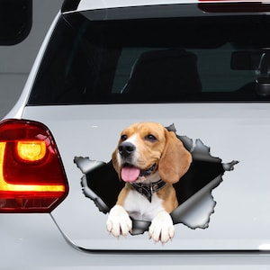 Lustiger Autoaufkleber, Beagle Aufkleber, Beagle Magnet, Beagle Sticker, Autodekoration, Beagle Print