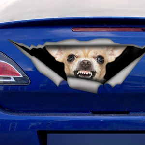 Chihuahua car decal, Chihuahua magnet, car decoration, pet decal, Chihuahua sticker image 5