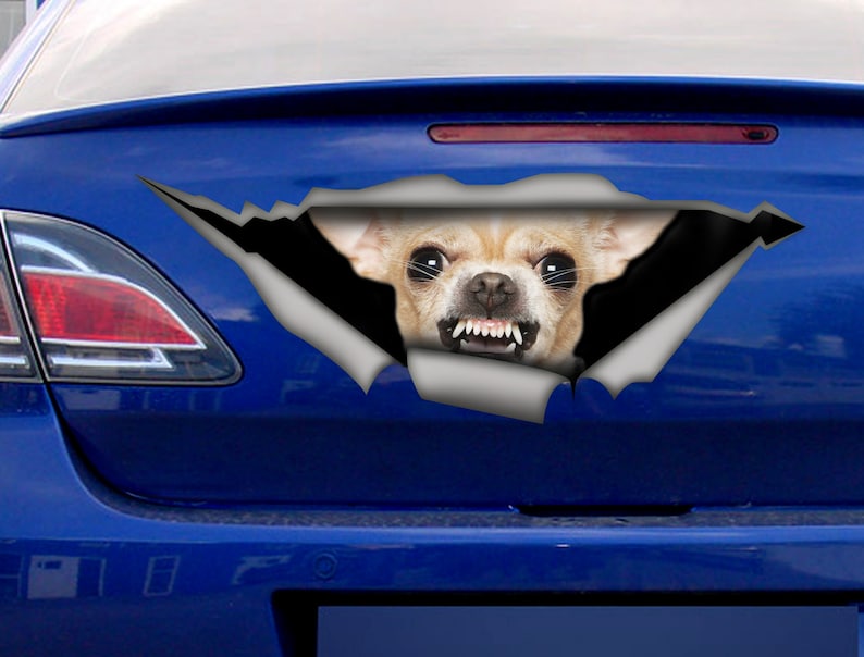 Chihuahua car decal, Chihuahua magnet, car decoration, pet decal, Chihuahua sticker image 5