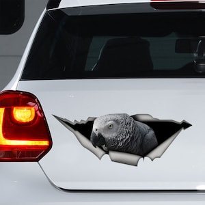 African Grey car decal, African Grey magnet,  parrot decal, bird decal, parrot sticker