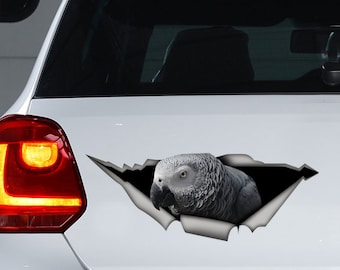 African Grey car decal, African Grey magnet,  parrot decal, bird decal, parrot sticker