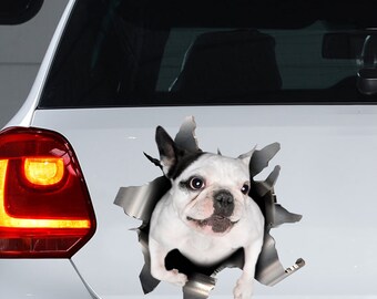 French bulldog car sticker, French bulldog decal, French bulldog  magnet, Frenchie sticker