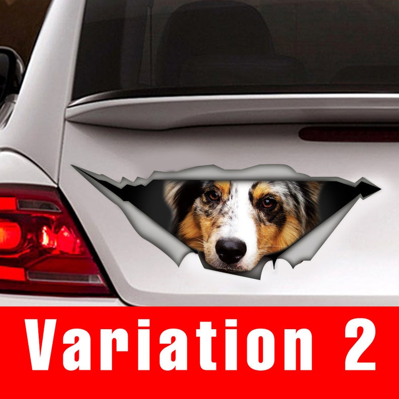 Australian Shepherd Car Decal Aussie Decal Car Decoration Etsy Canada