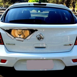 May include: A white car with a lion's head peeking out of a ripped hole in the back window. The lion has a brown mane and a serious expression.
