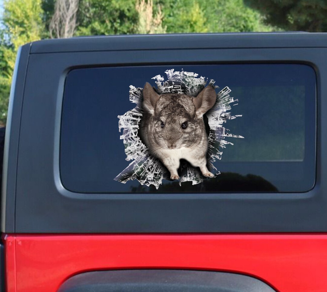 Chinchilla Window Sticker, Car Sticker, Chinchilla Car Decal - Etsy