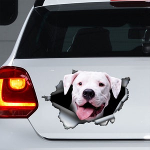 Decalque Dogo Argentino, ímã Dogo Argentino, adesivo Dogo Argentino, decalque para laptop Dogo Argentino