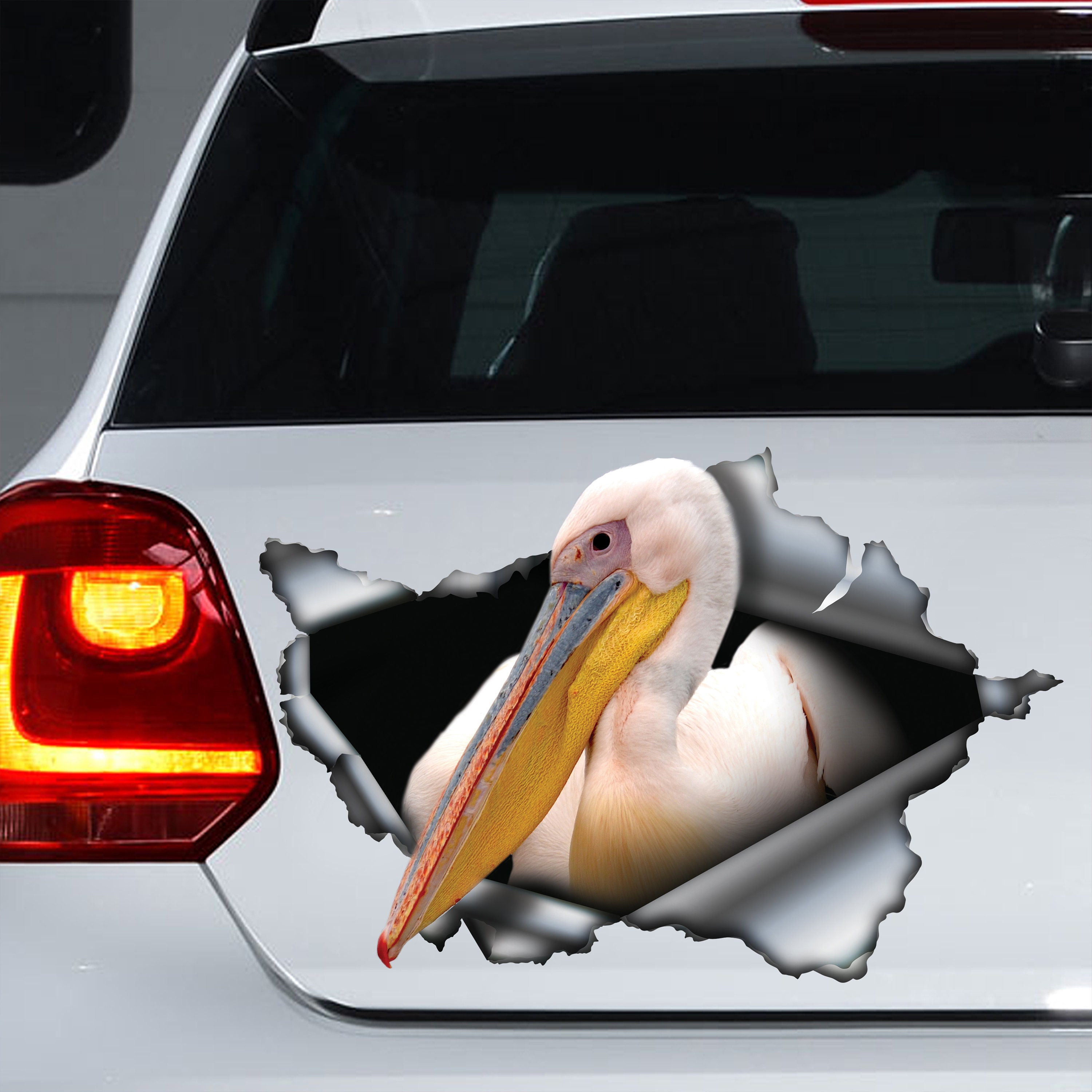 Birder on Board Car Magnet — Pelican Harbor Seabird Station