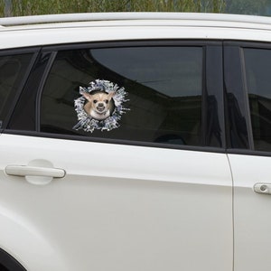 Op de afbeelding: Een witte auto met een sticker van een chihuahua die uit een gescheurd gat in het achterraam kijkt.