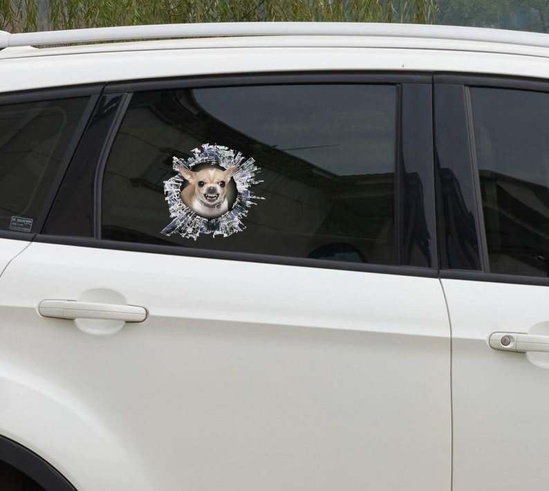 Op de afbeelding: Een witte auto met een sticker van een chihuahua die uit een gescheurd gat in het achterraam kijkt.