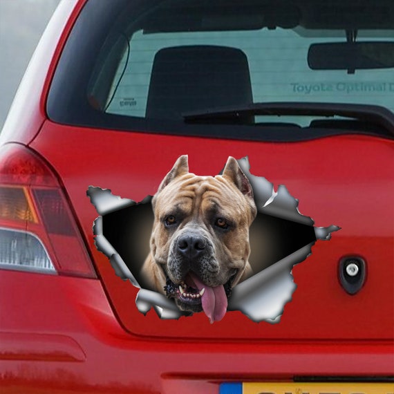 Fawn Cane Corso Car Decal Cane Corso Car Sticker Pet Decal