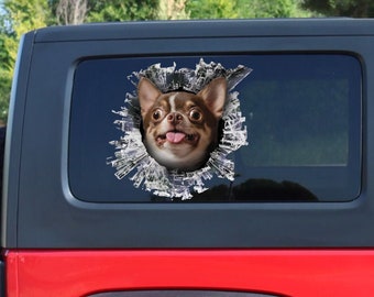 Chihuahua window decal, Chihuahua sticker, brown Chihuahua car decal