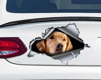 Decal Golden Retriever , Golden Retriever magnet, Golden Retriever sticker, car decoration