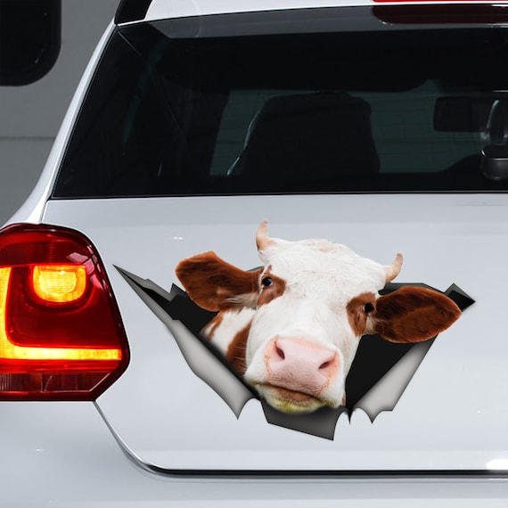 Cow car decal deals