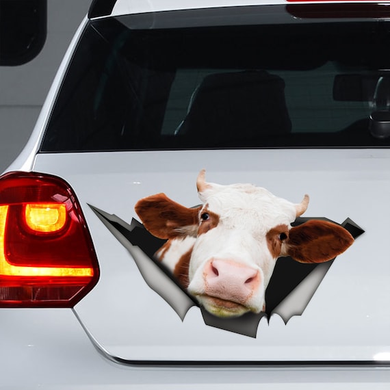 uitvinden wond lus Red Cow auto sticker Koe magneet Koe sticker - Etsy België