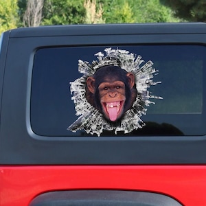 Monkey window sticker, Monkey car decal, funny Monkey decal