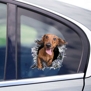 Tan Dachshund window decal, Dachshund car sticker, Tan Dachshund car decal