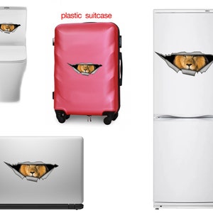 May include: A lion's head peeking out of a torn hole in a variety of surfaces, including a toilet, a red suitcase, a laptop, and a refrigerator. The lion's head is brown and has a white mane.