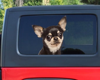 adesivo engraçado para janela de carro chihuahua, adesivo 3D, adesivo engraçado, decalque chihuahua