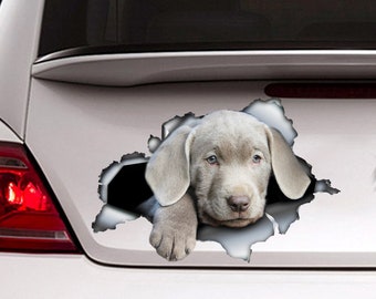 Silver lab puppy car decal,   lab decal,  Silver Labrador  sticker, pet decal , lab magnet