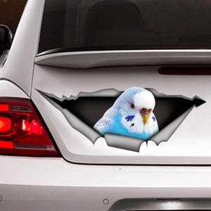 Budgie bird car decal, Budgie magnet, blue budgie sticker, parrot decal, pet decal