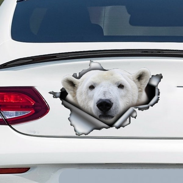 Decalcomania per auto orso polare, magnete orso polare, adesivo orso polare, decalcomania orso bianco