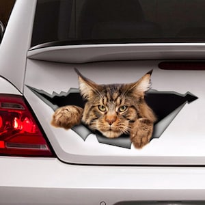 メインクーンの車用デカール、メインクーンのマグネット、面白いステッカー、大きな猫の車用ステッカー