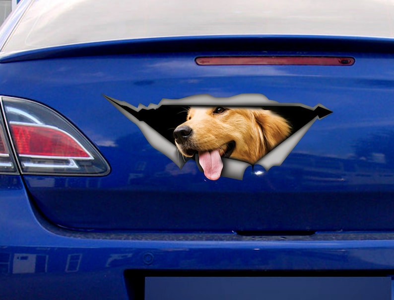 Golden Retriever Car Decal Pet Decal Dog Decal Vinyl Etsy