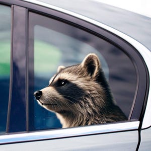 Raccoon car sticker, Raccoon decal, window sticker