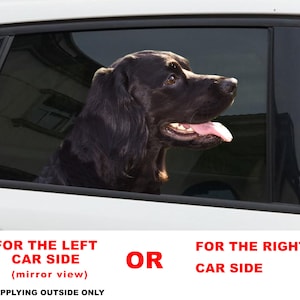 Black cocker spaniel  sticker , Black cocker spaniel  decal,   spaniel car decal