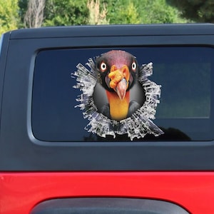 King Vulture window decal, King Vulture  car decal, King Vulture  sticker